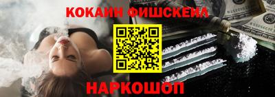 шишки Тара