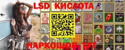 гидра Ставрополь