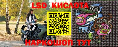 гашик Тверь