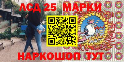 гашик Тверь