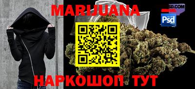 гидра Ставрополь