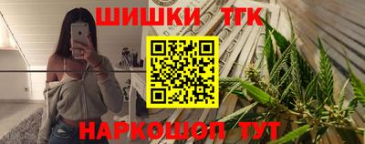гидра Ставрополь