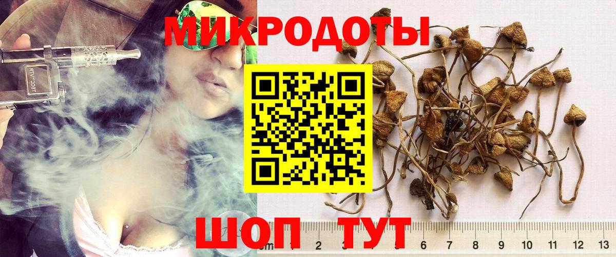 Павловский Посад  Галлюциногенные грибы прущие грибы  Вход с VPN 